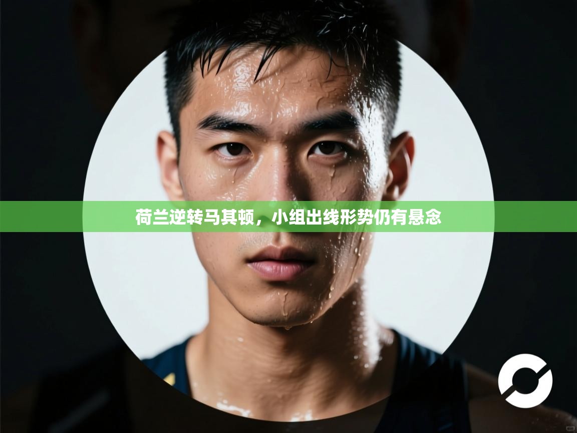 荷兰逆转马其顿，小组出线形势仍有悬念  第2张