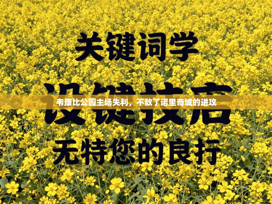 韦康比公园主场失利，不敌了诺里奇城的进攻  第2张