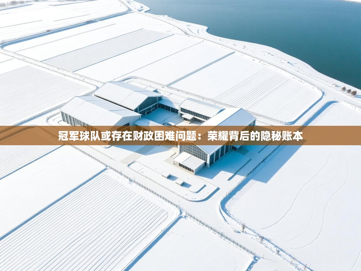 冠军球队或存在财政困难问题：荣耀背后的隐秘账本