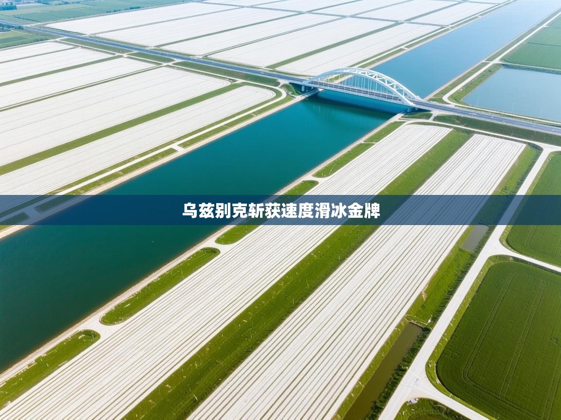 乌兹别克斩获速度滑冰金牌  第1张