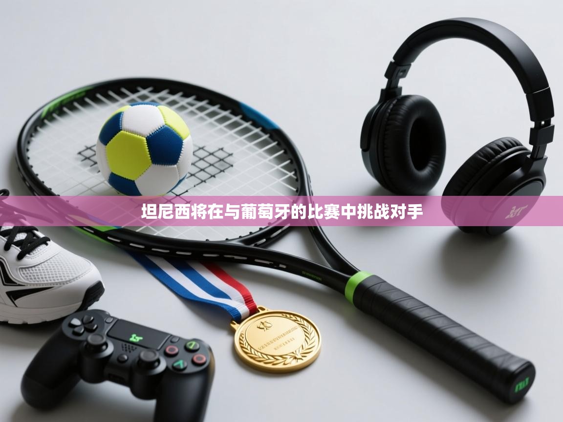 坦尼西将在与葡萄牙的比赛中挑战对手 第1张